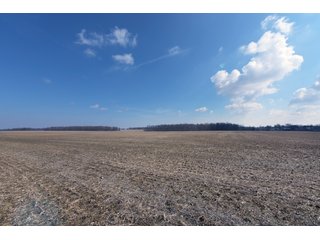 TRACTS 2-3 - MAJOR LAND AUCTION - 719+/- ACRES OFFERED IN 14 TRACTS IN ALLEN COUNTY, OHIO